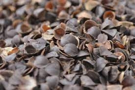 Buckwheat Hulls | filling & topping up Bolsters & Meditation Zafu Cushions | 1000g / 1kg