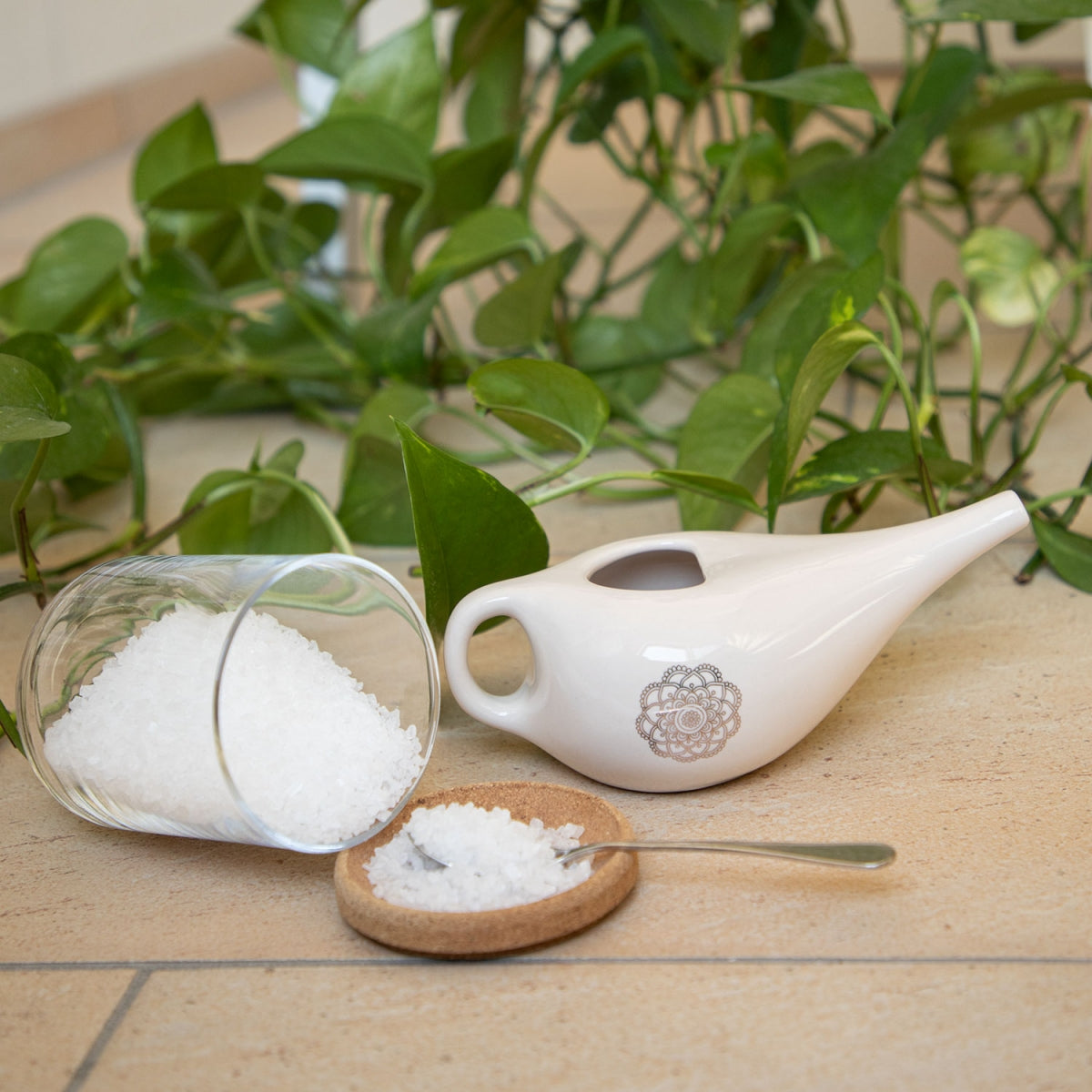 TEACHER PACK of 10 | Nasal Neti Pot with Mandala Pattern | Ceramic Neti Pot