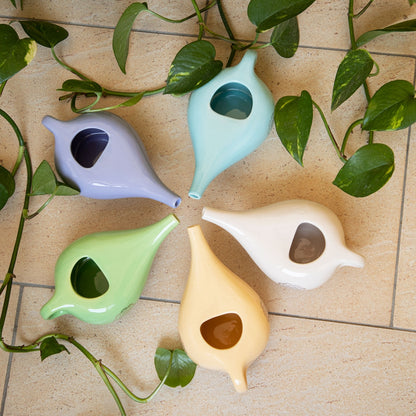TEACHER PACK of 10 | Nasal Neti Pot with Mandala Pattern | Ceramic Neti Pot